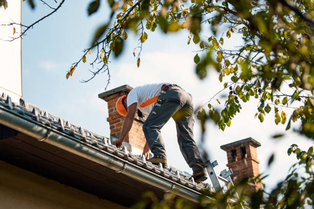 Best Roof Waterproofing Services  in Hinton, WV