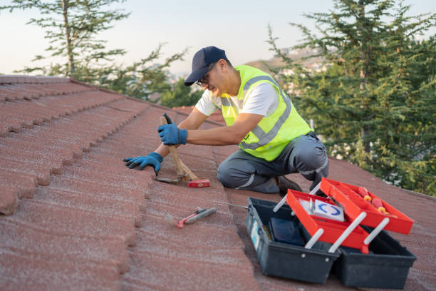 Best Roof Repair Services  in Hinton, WV
